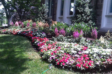 Perennials, Annuals and Pots